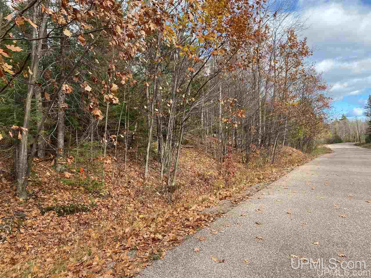 Tbd Lake Enchantment Road, Unit PARCEL 1 Marquette, MI 49855 - Photo 1 of 18