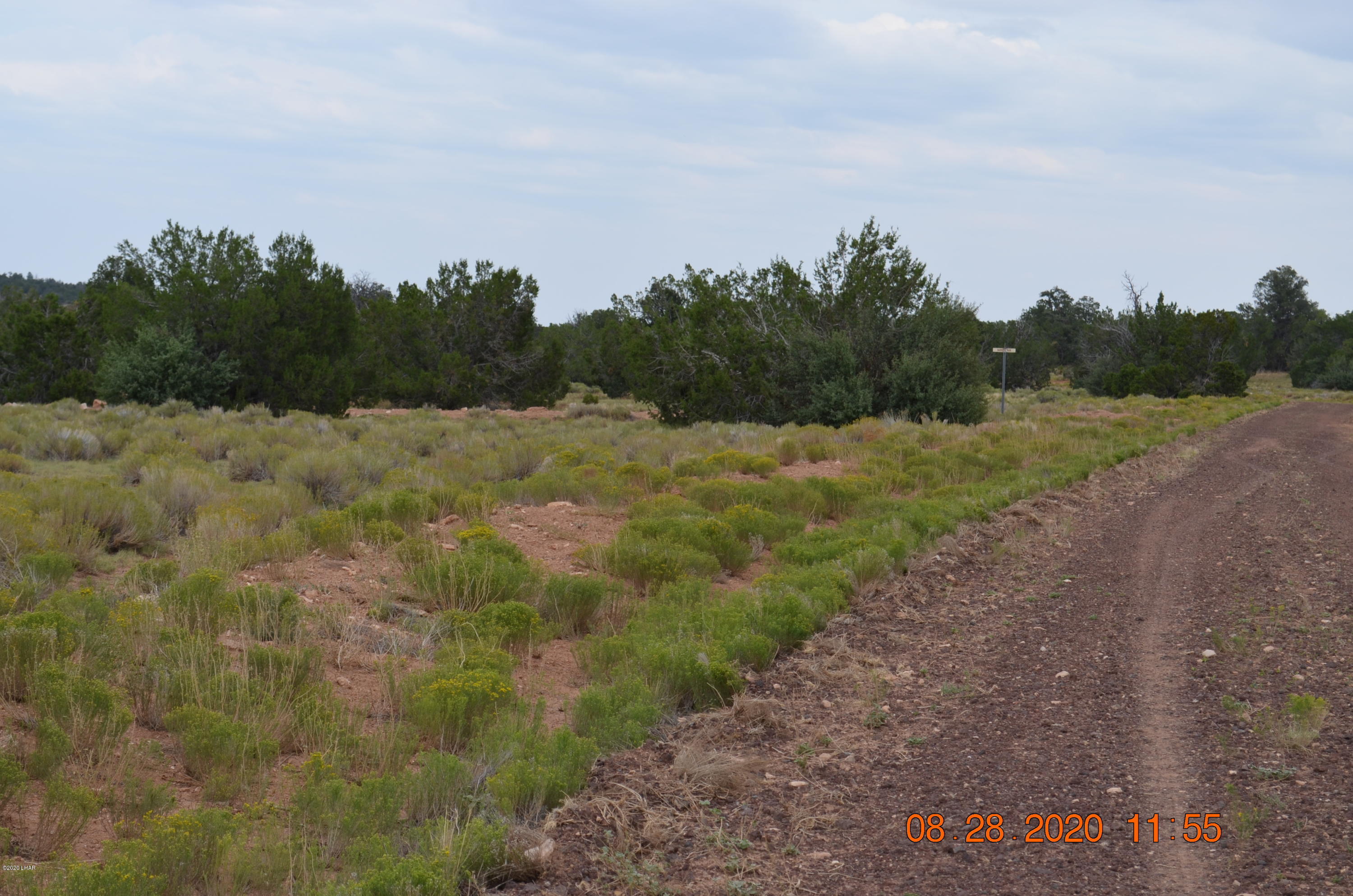 8852 West Bandera Pass Williams, AZ 86046 - Photo 12 of 19 a view of a dry yard with trees in the background