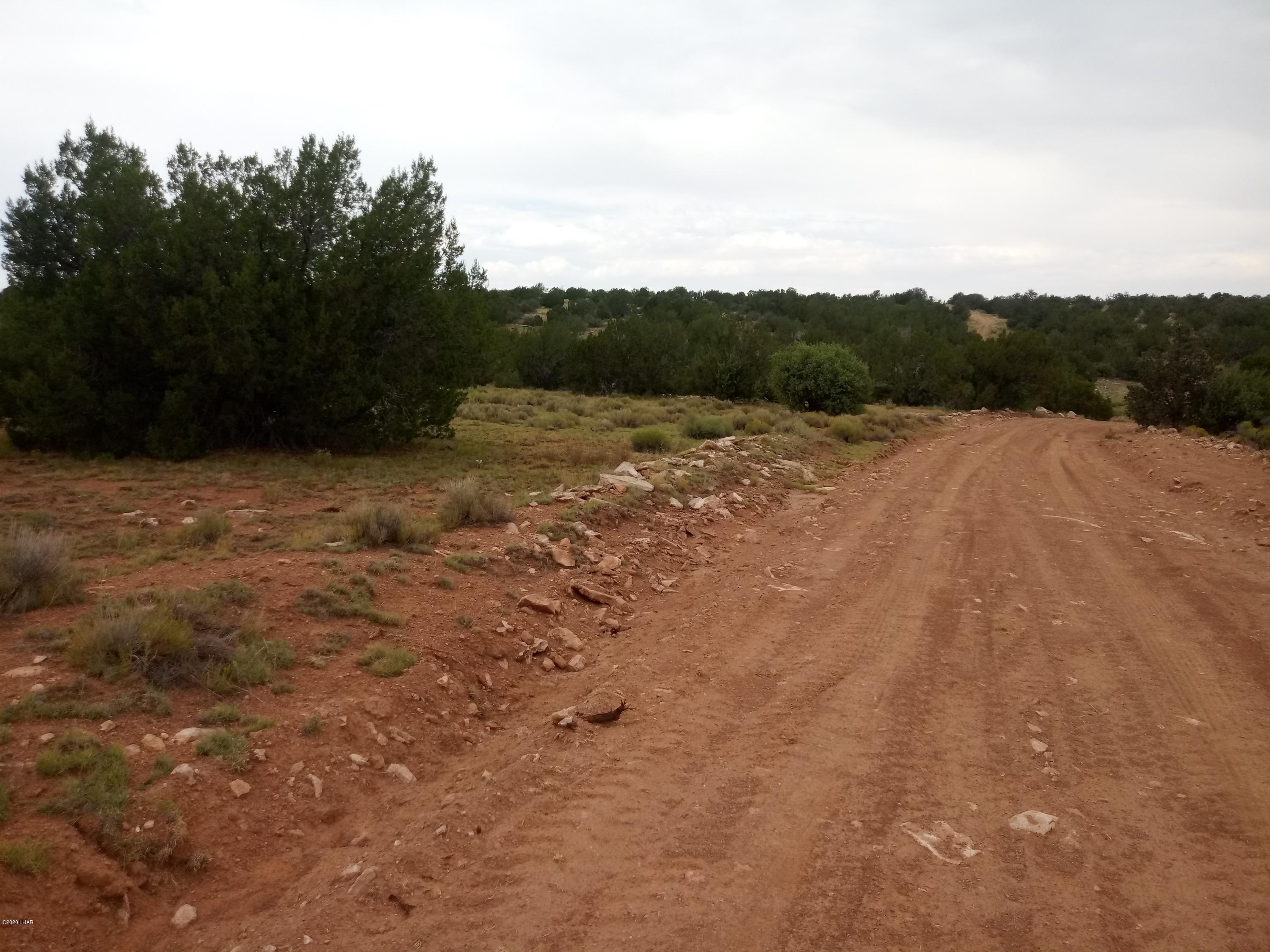 8852 West Bandera Pass Williams, AZ 86046 - Photo 13 of 19 a view of lake with green space