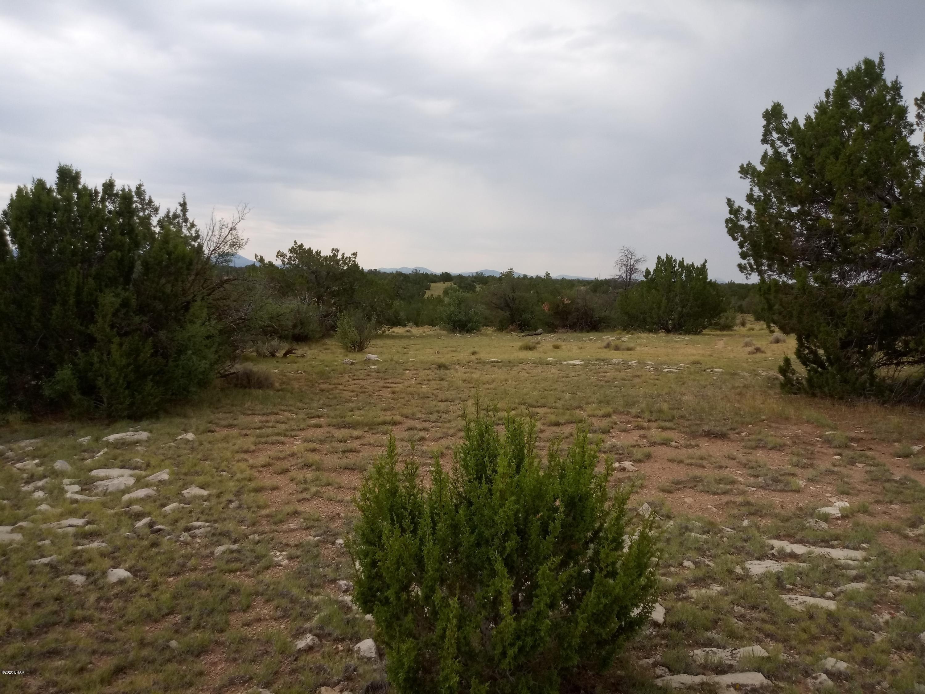 8852 West Bandera Pass Williams, AZ 86046 - Photo 17 of 19