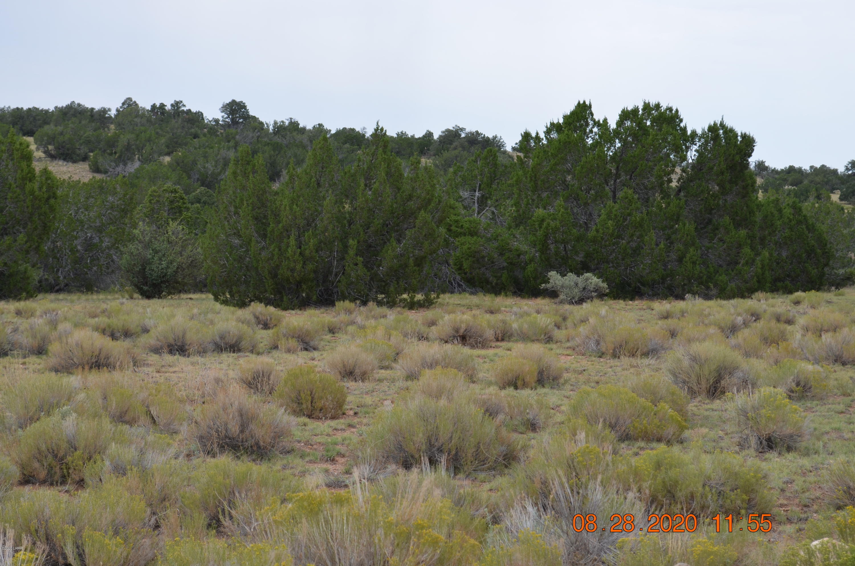 8852 West Bandera Pass Williams, AZ 86046 - Photo 2 of 19 a view of a yard