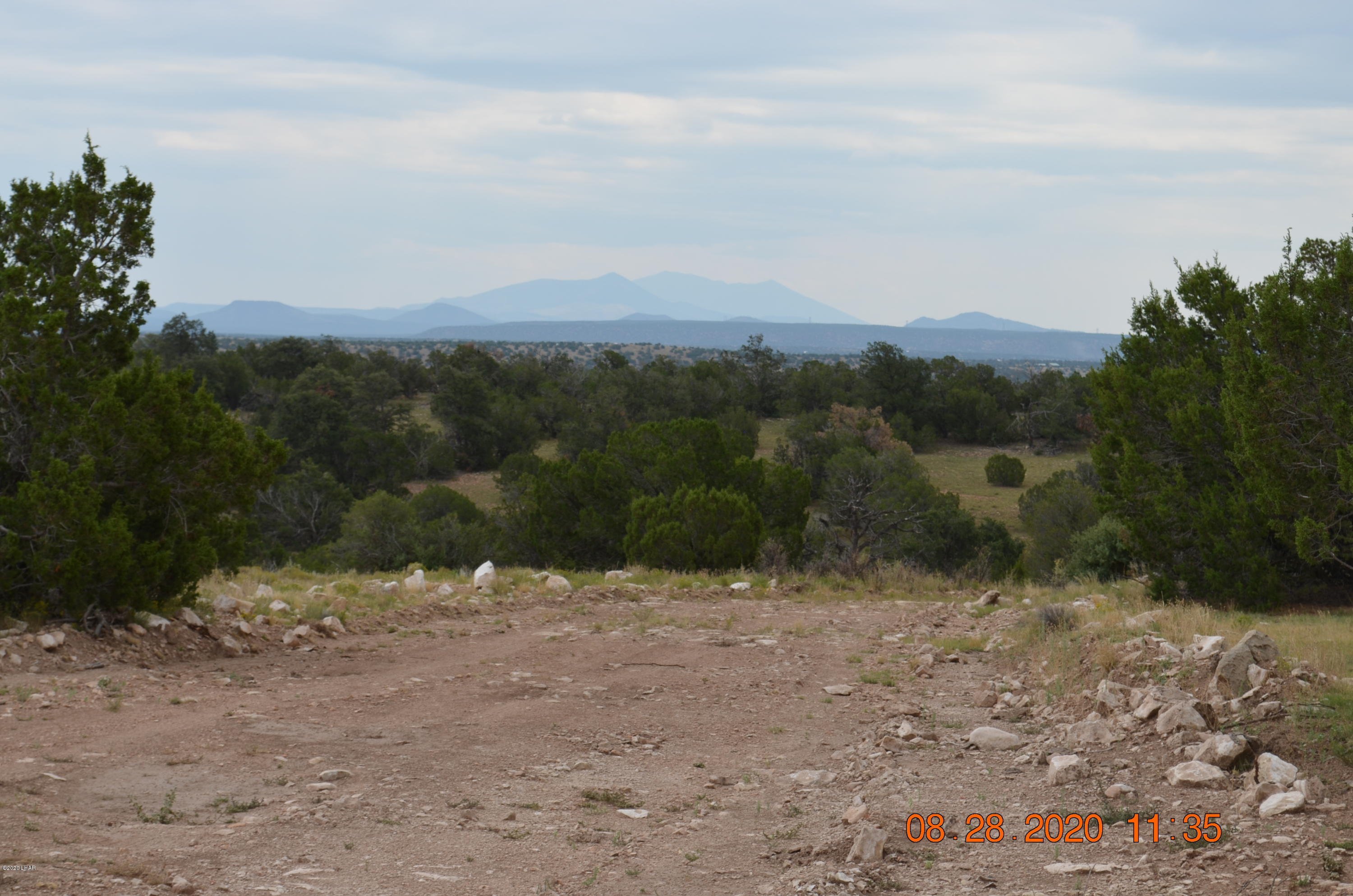 8852 West Bandera Pass Williams, AZ 86046 - Photo 3 of 19 a view of a field with a tree in the background