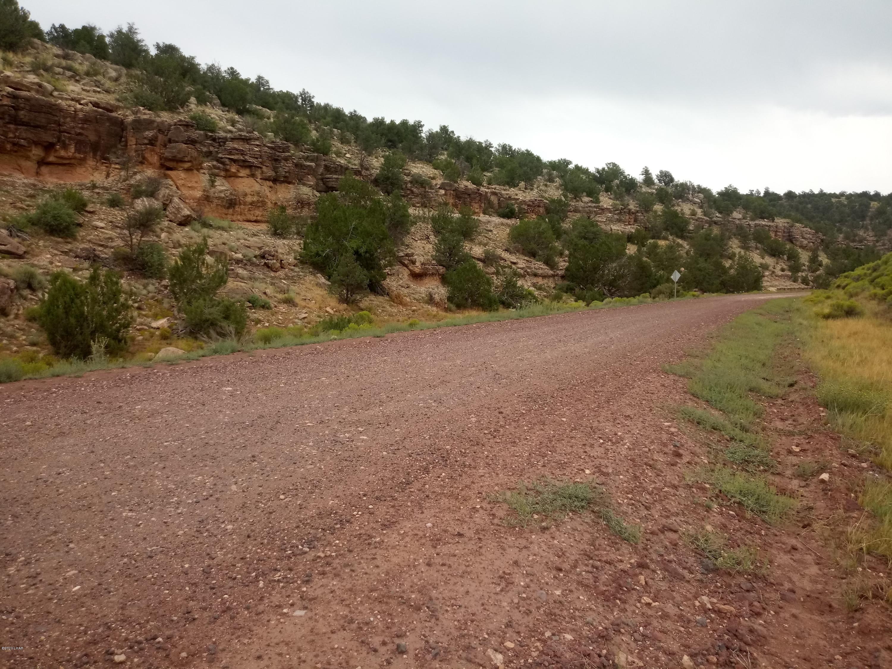 8852 West Bandera Pass Williams, AZ 86046 - Photo 5 of 19 a view of a field with trees in background