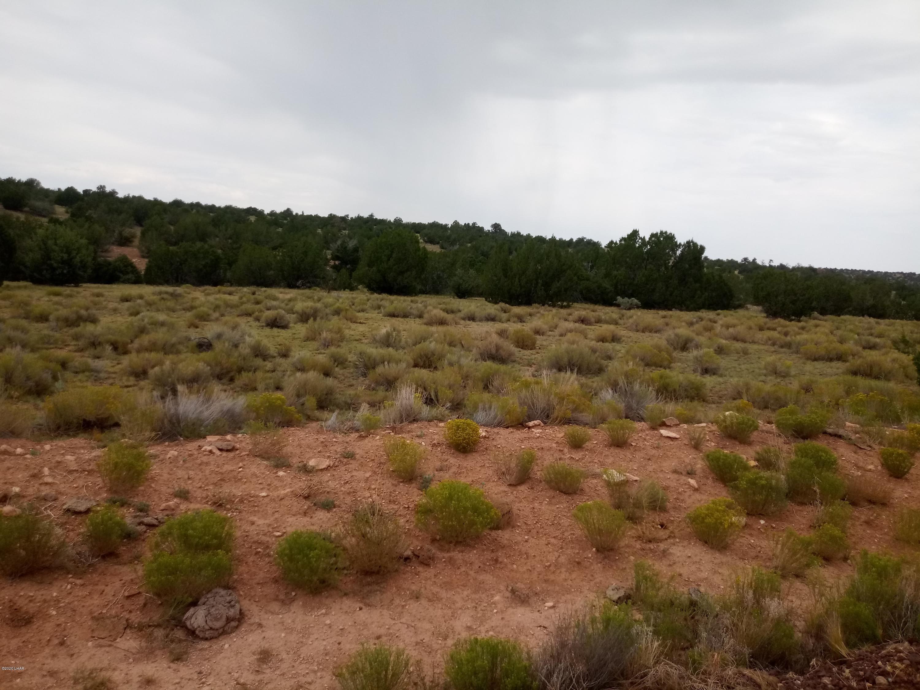 8852 West Bandera Pass Williams, AZ 86046 - Photo 7 of 19 a view of a field of the house