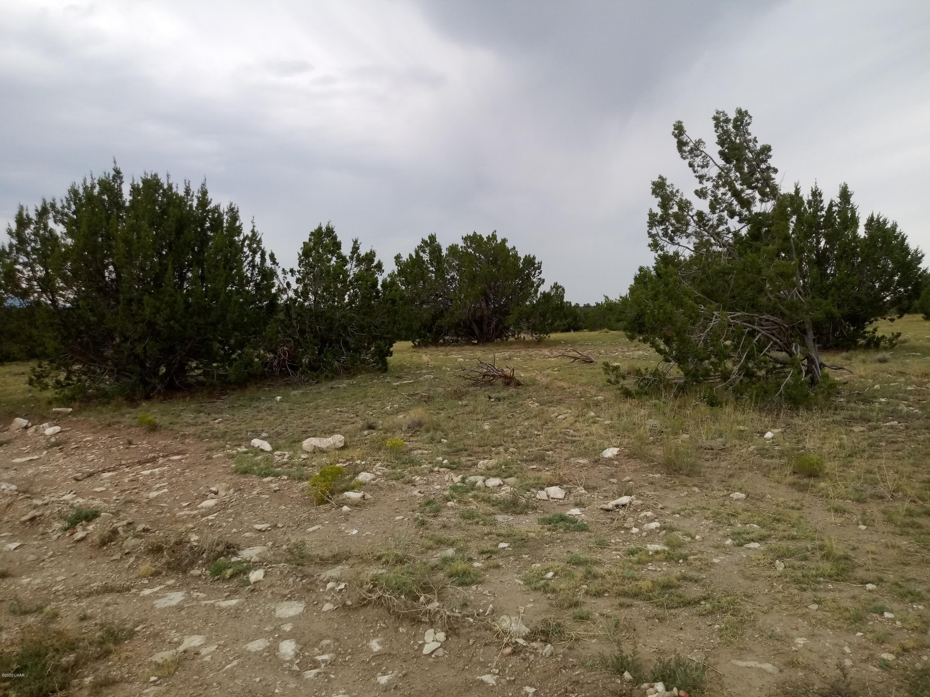 8852 West Bandera Pass Williams, AZ 86046 - Photo 8 of 19 a view of a field with trees in background