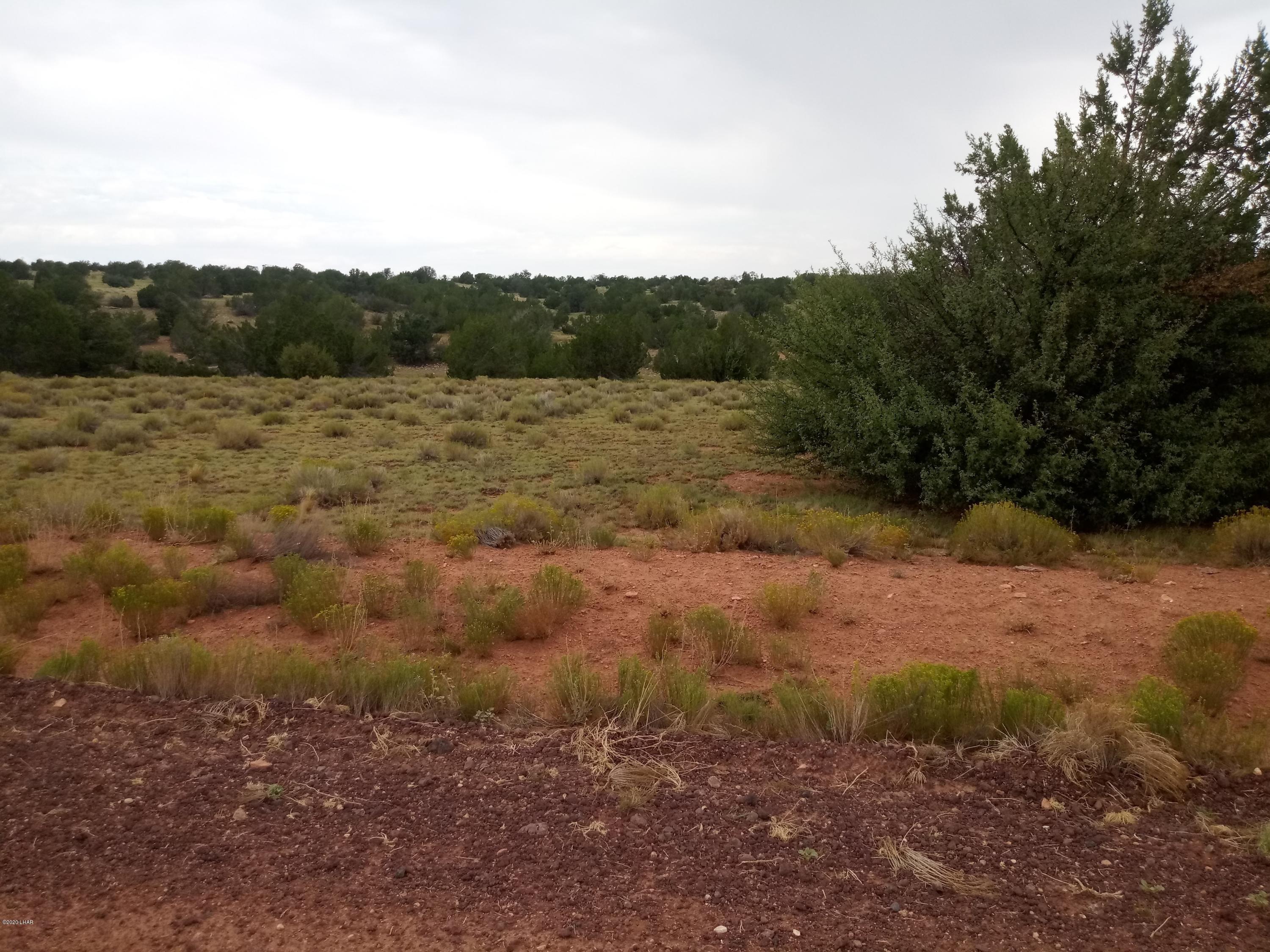 8852 West Bandera Pass Williams, AZ 86046 - Photo 10 of 19 a view of a field