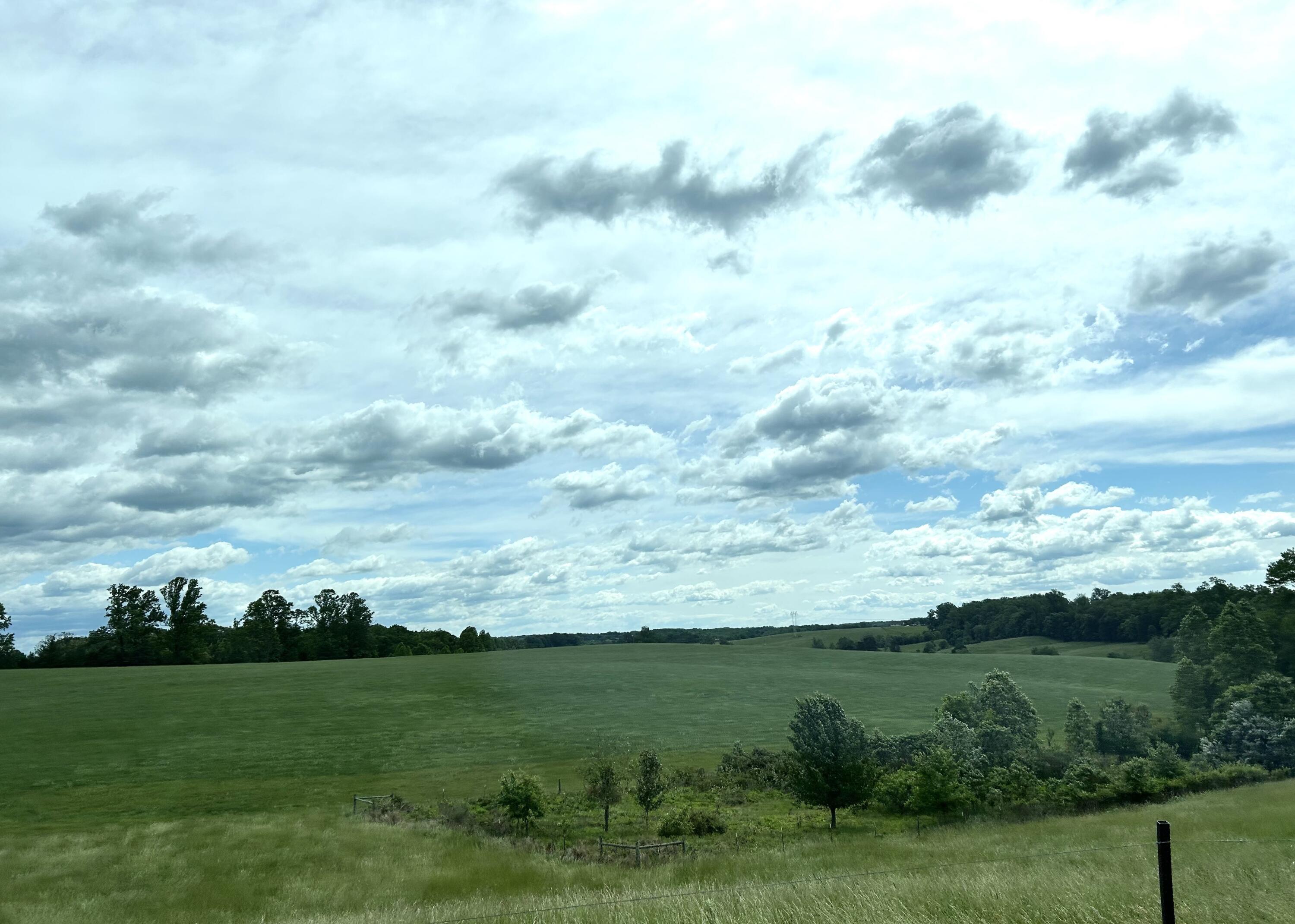 2265 Meadors Spur Road Moneta, VA 24121 - Photo 70 of 99 View From Front
