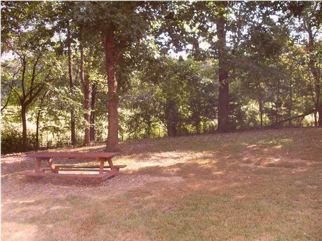 4622 Crow Road Northeast Dalton, GA 30721 - Photo 22 of 35 Additional Photo