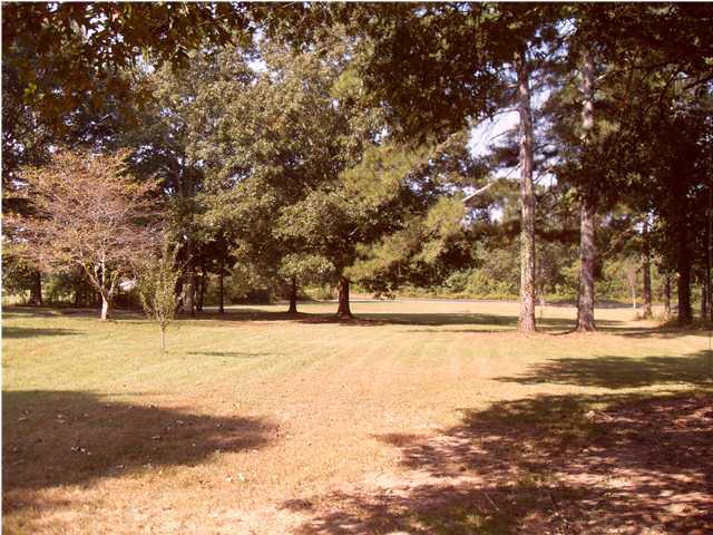 4622 Crow Road Northeast Dalton, GA 30721 - Photo 23 of 35 Additional Photo