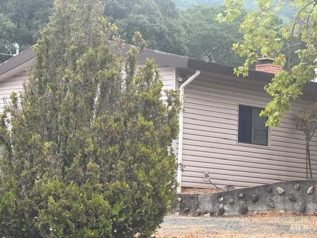 a view of a house that has a tree