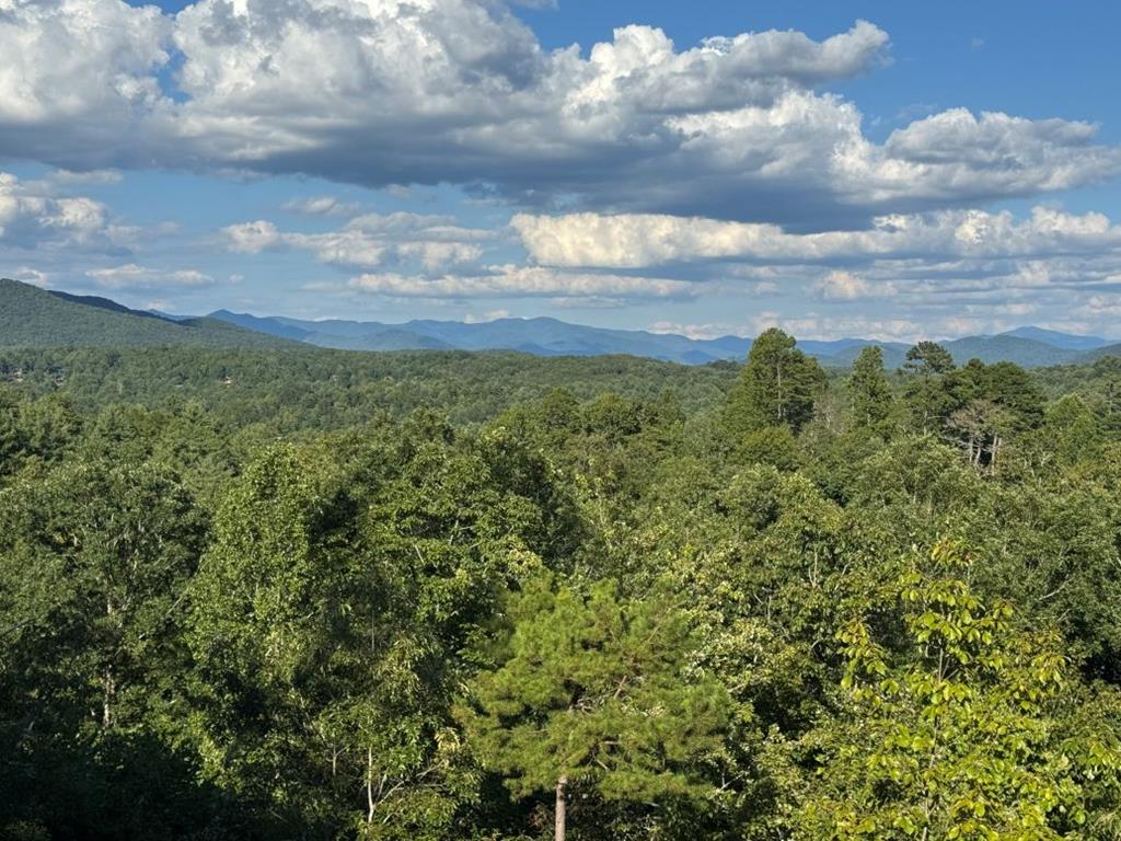 a view of a yard with an outdoor space