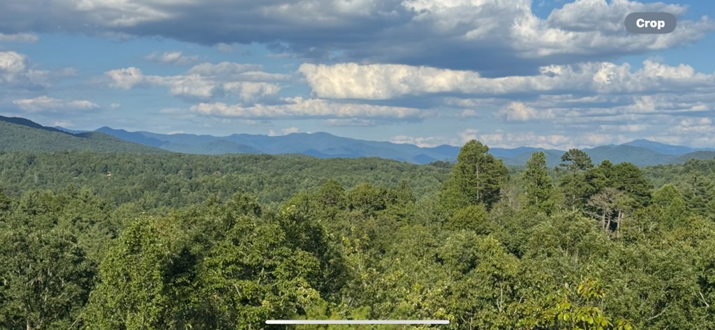 383 Point Overlook Trail Murphy, NC 28906 - Photo 2 of 6 a view of a big yard