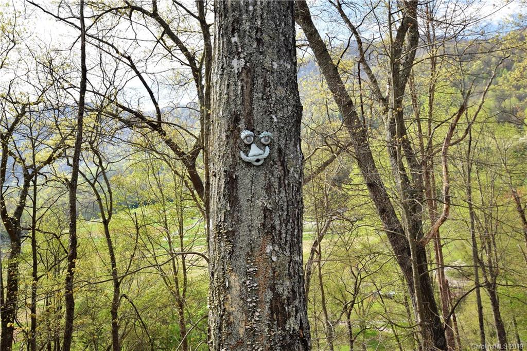 128 Birch Springs Road Waynesville, NC 28786 - Photo 22 of 47 Gallery Image 22