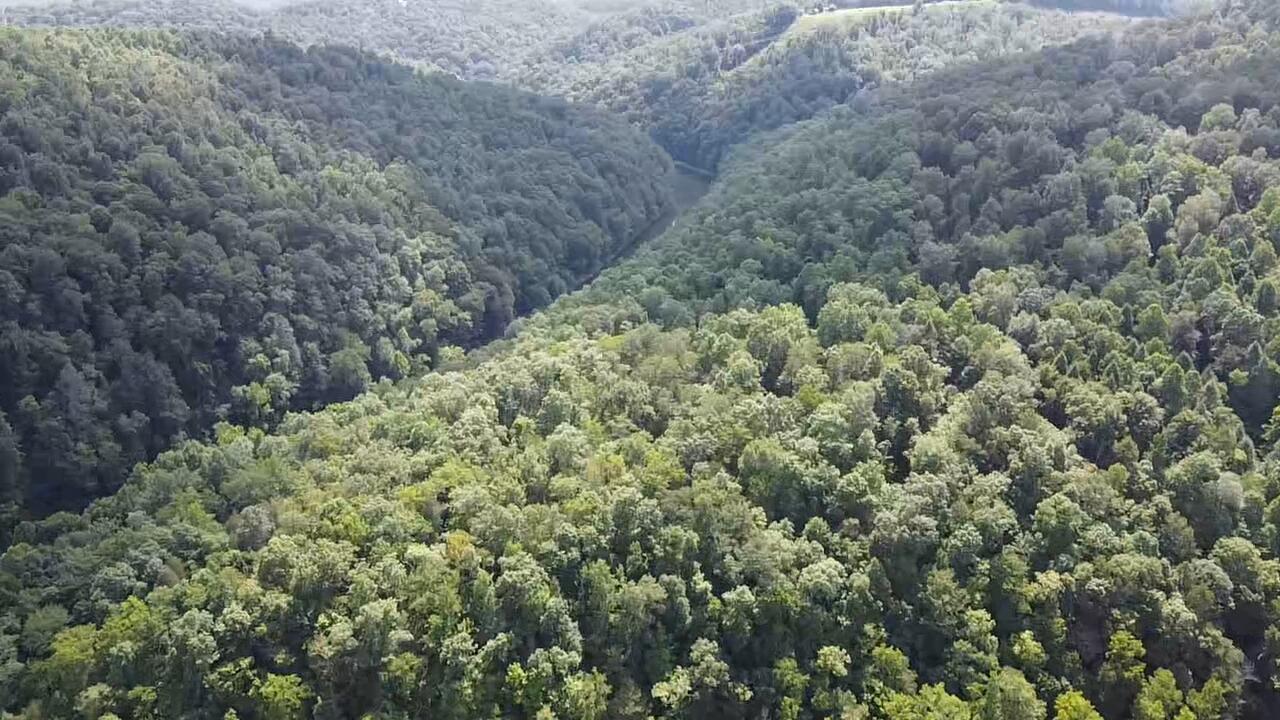 0 Merritt School Road Somerset, KY 42501 - Photo 11 of 15 10 Aerial Summer