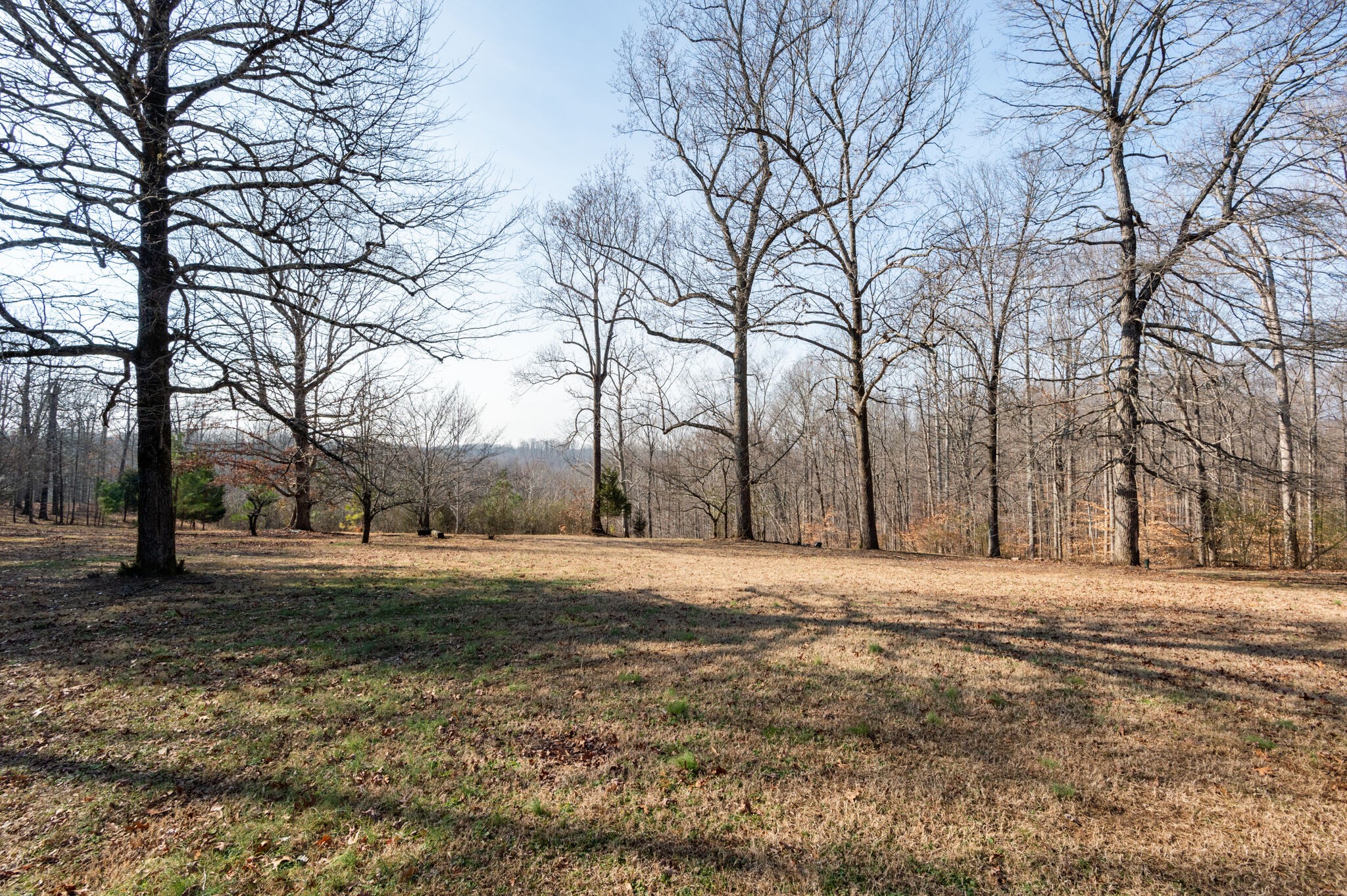 6147 Marrowbone Lake Road Joelton, TN 37080 - Photo 40 of 50 Gallery Image 40