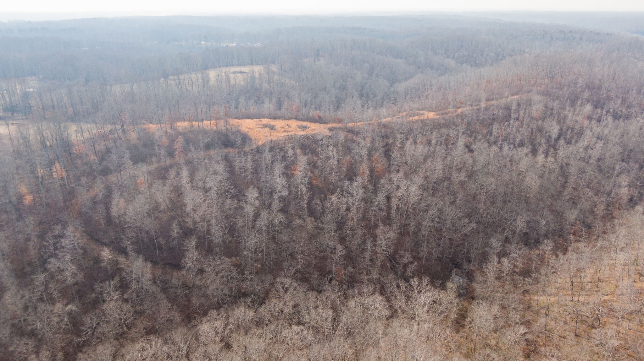 6147 Marrowbone Lake Road Joelton, TN 37080 - Photo 46 of 50 Gallery Image 46