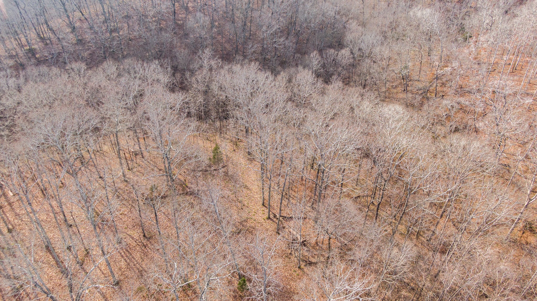 6147 Marrowbone Lake Road Joelton, TN 37080 - Photo 47 of 50 Gallery Image 47