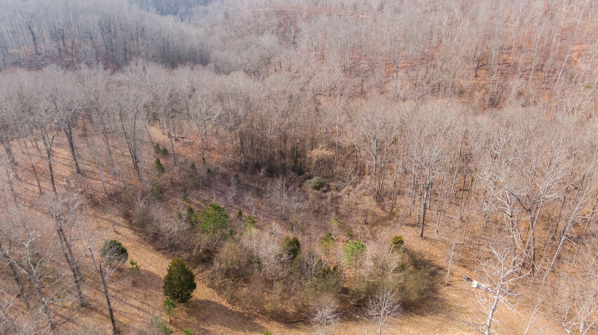 6147 Marrowbone Lake Road Joelton, TN 37080 - Photo 48 of 50 Gallery Image 48
