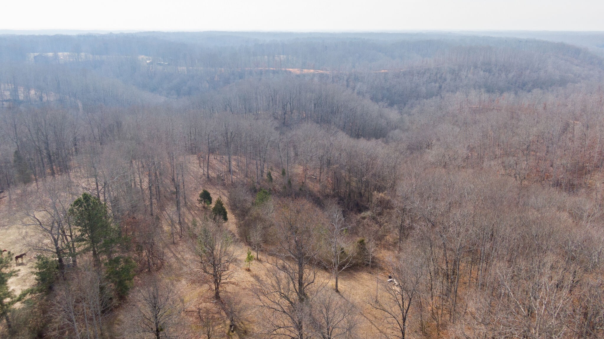 6147 Marrowbone Lake Road Joelton, TN 37080 - Photo 49 of 50 Gallery Image 49