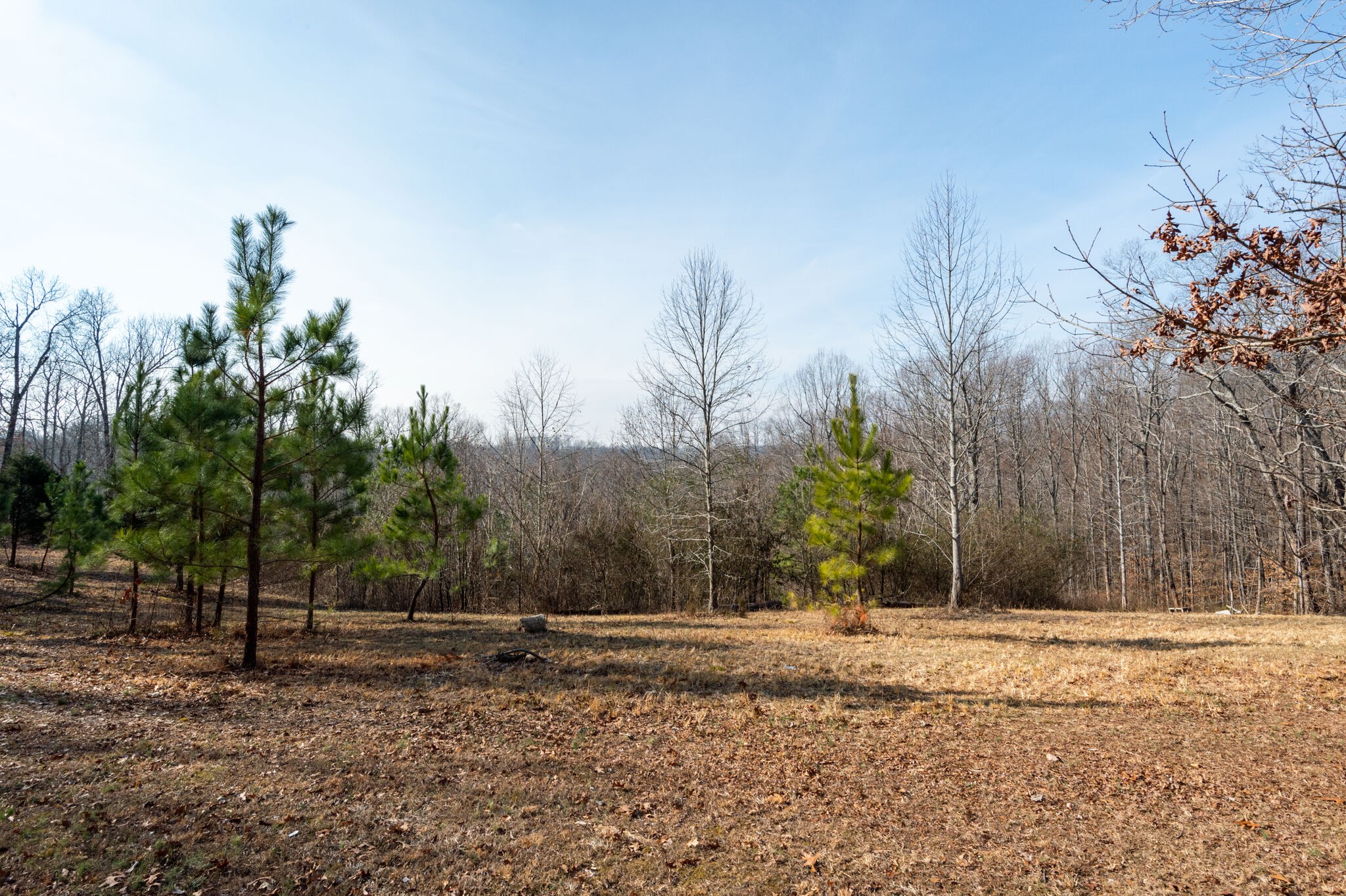 6147 Marrowbone Lake Road Joelton, TN 37080 - Photo 50 of 50 Gallery Image 50