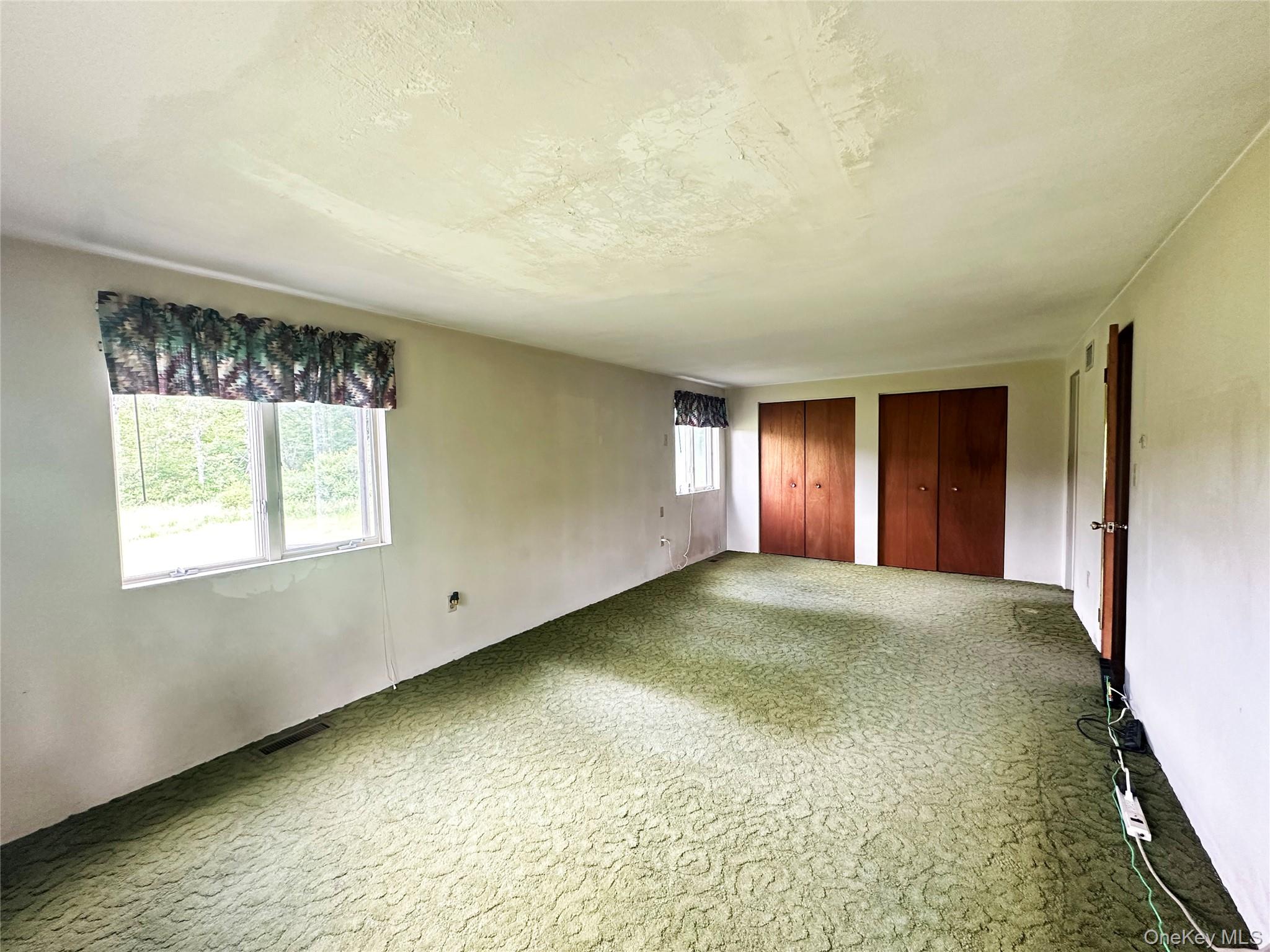 818 Methol Road Roscoe, NY 12776 - Photo 30 of 39 Oversized master bedroom featuring retro carpeting, multiple closets, en suite bathroom, and abundant natural light.