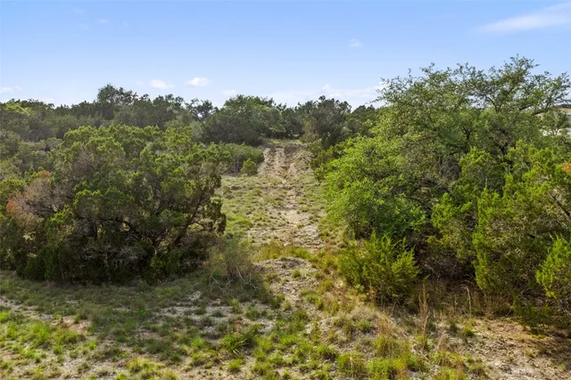 a view of a field with a tree in the background