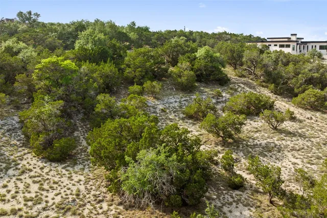 a view of a forest with a lush green forest