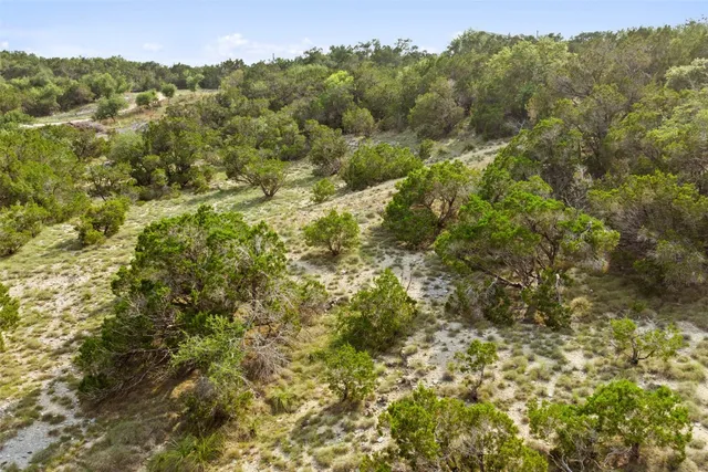 a view of a forest with a yard