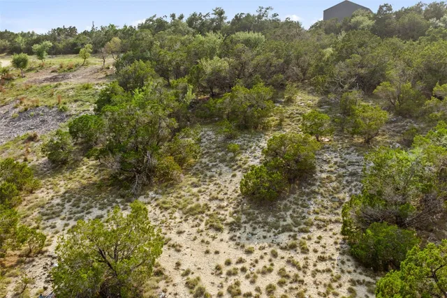 a view of a yard with a tree