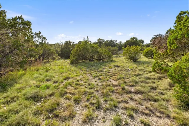 a view of a yard with a tree