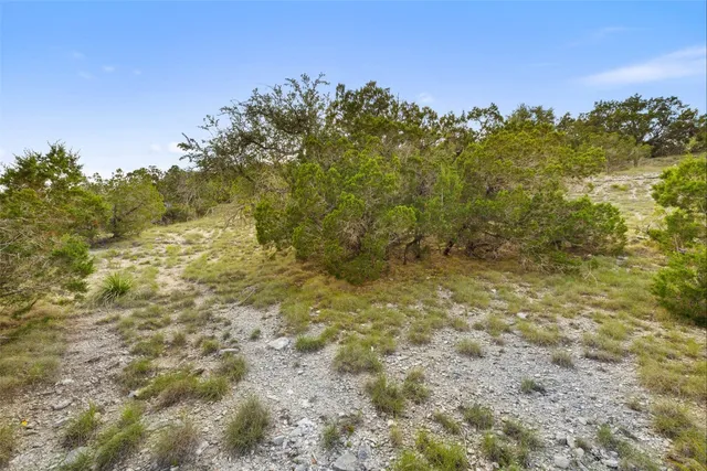 a view of a yard with plants and trees