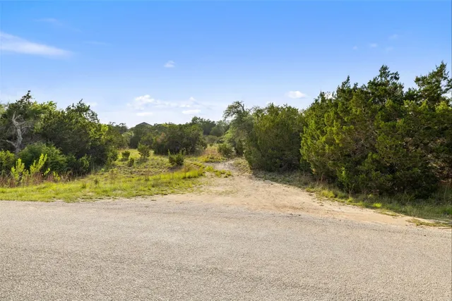 a view of a yard with a tree