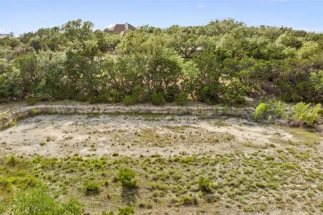 a view of a yard with plants and a bench