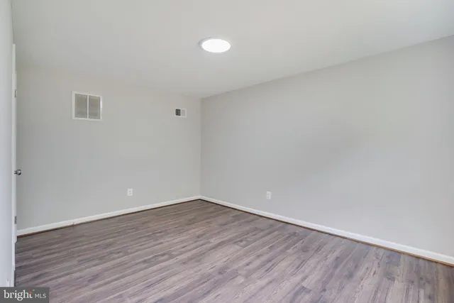 a view of a yard with plants and a large tree