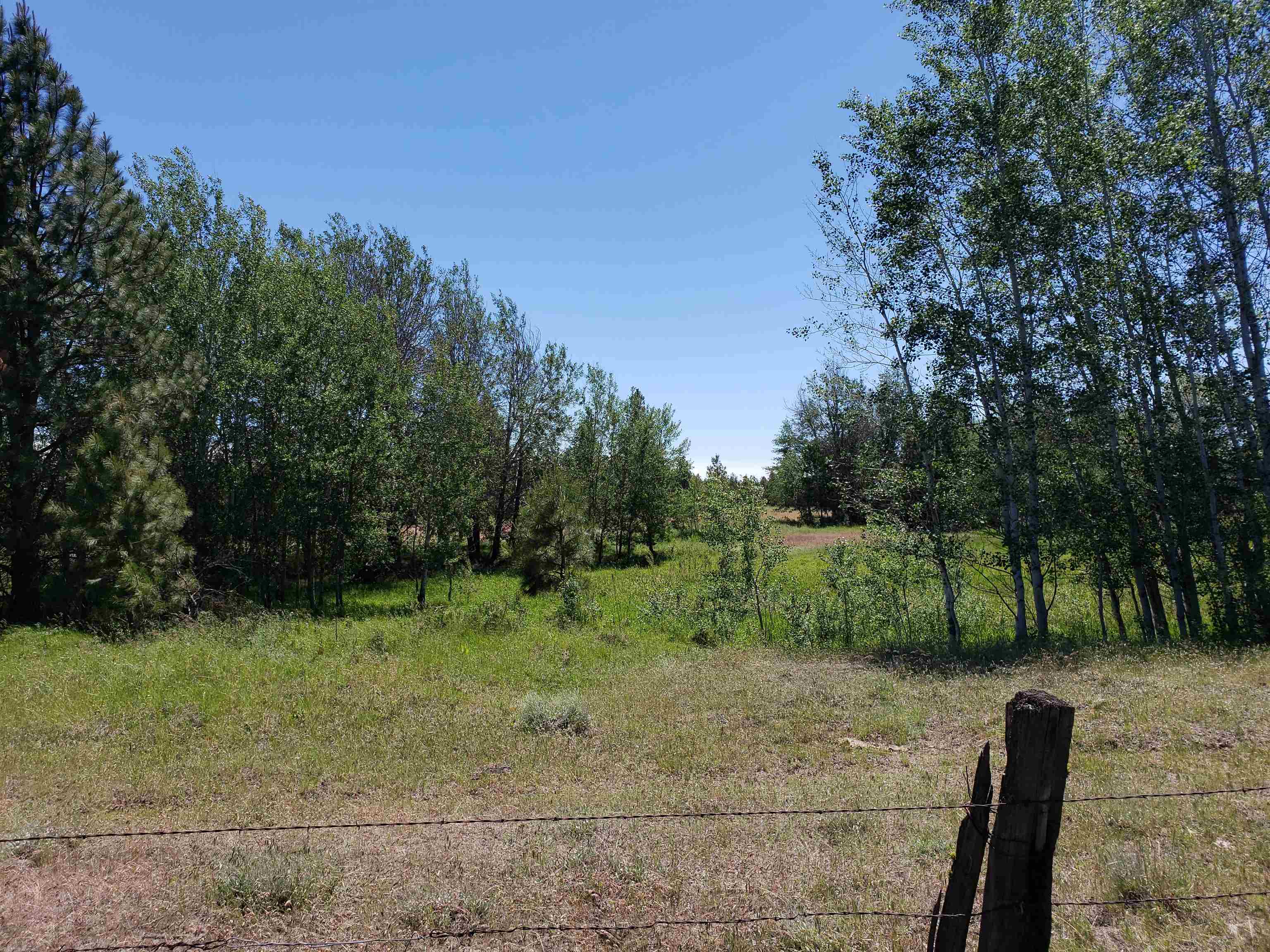 Xxxx West Baker Road, Unit LOT A Cheney, WA 99004 - Photo 1 of 3 Gallery Image 1