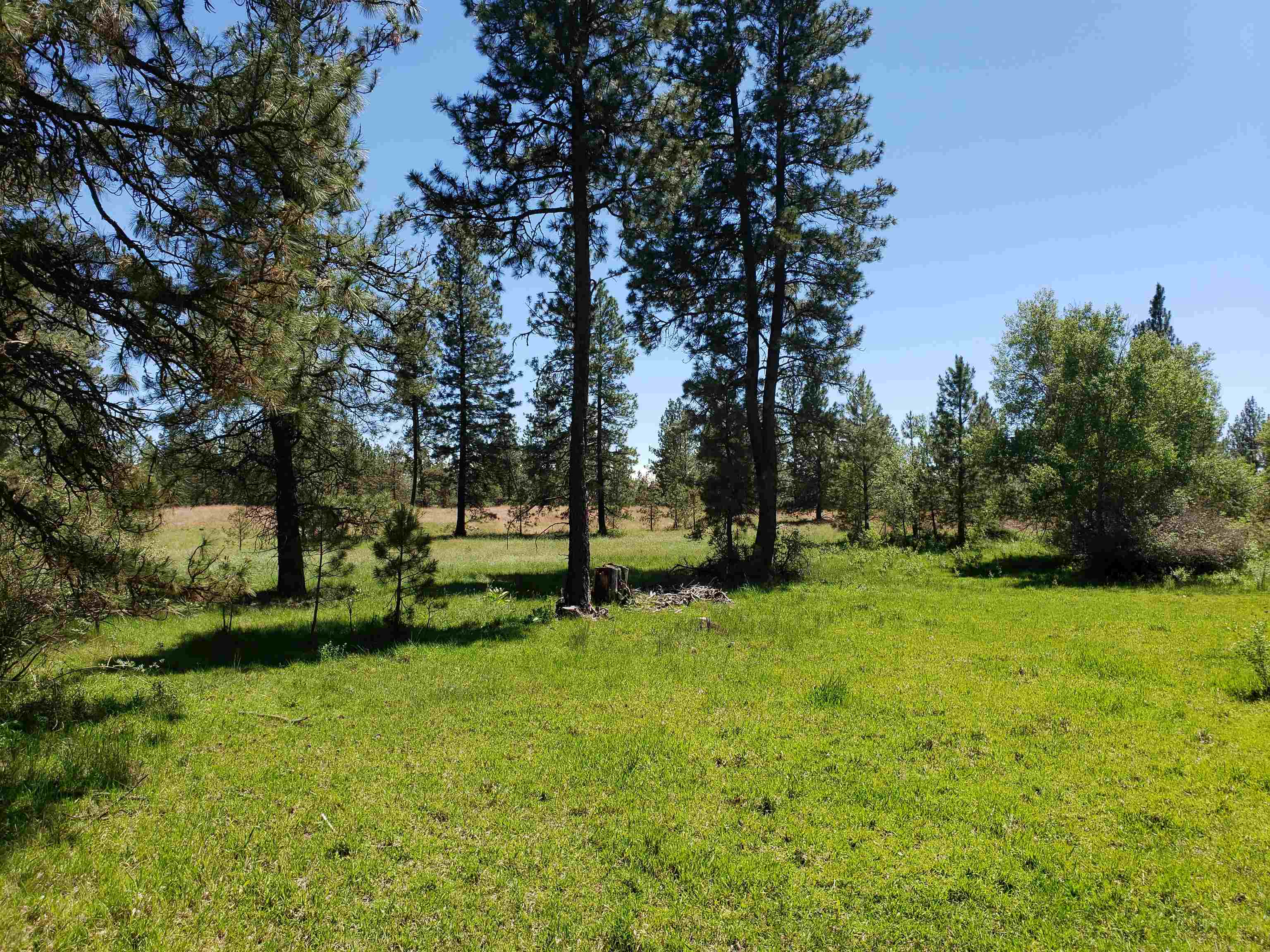Xxxx West Baker Road, Unit LOT A Cheney, WA 99004 - Photo 2 of 3 Gallery Image 2
