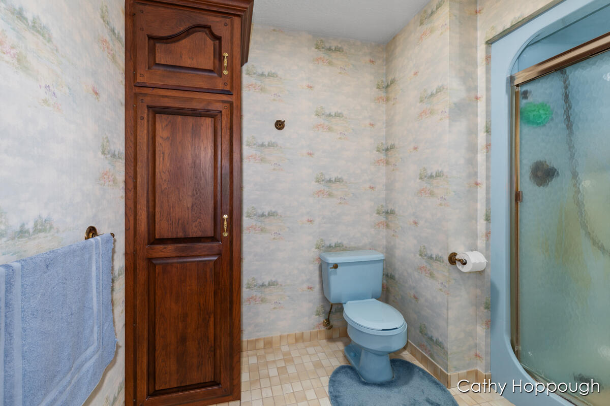 735 Prairie Creek Road Ionia, MI 48846 - Photo 37 of 81