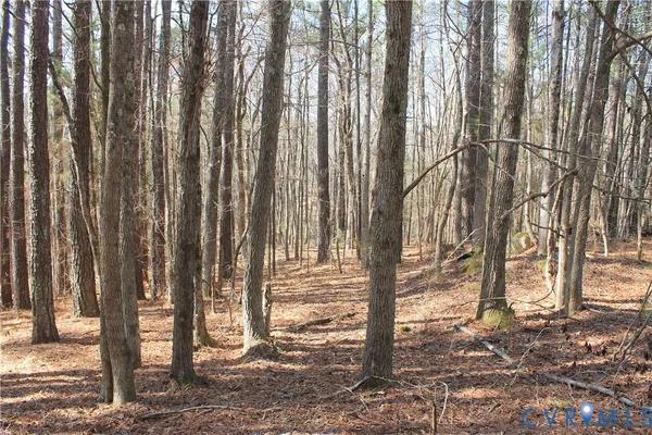 $630,000 | 1119 West Danville Street, South Hill, VA 23970