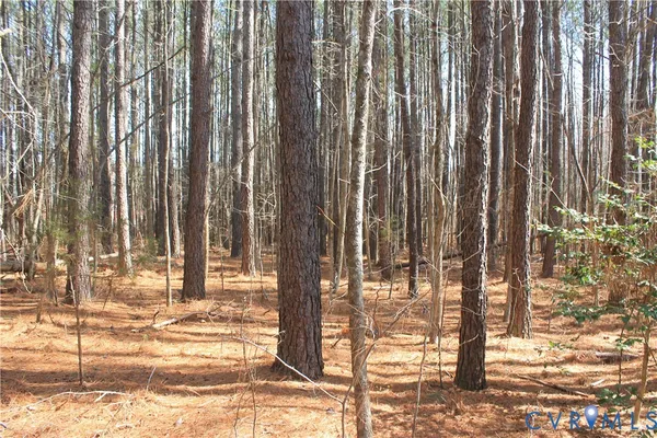 a view of outdoor space with lots of trees