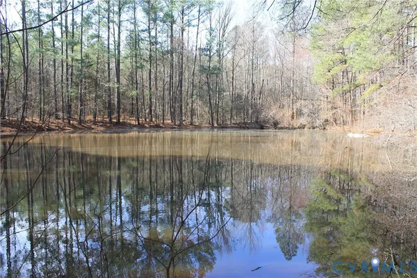 $630,000 | 1119 West Danville Street, South Hill, VA 23970