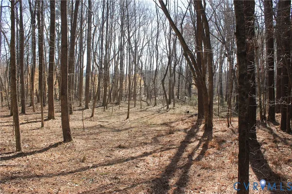 $630,000 | 1119 West Danville Street, South Hill, VA 23970