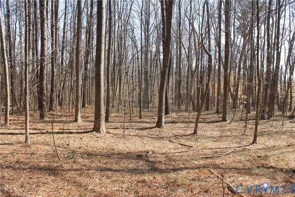 $630,000 | 1119 West Danville Street, South Hill, VA 23970