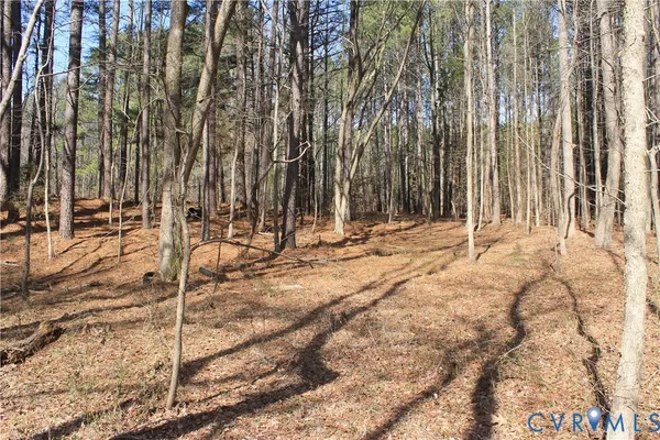 $630,000 | 1119 West Danville Street, South Hill, VA 23970