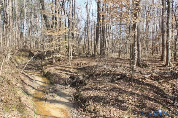 $630,000 | 1119 West Danville Street, South Hill, VA 23970