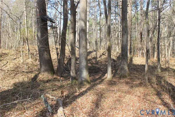 $630,000 | 1119 West Danville Street, South Hill, VA 23970