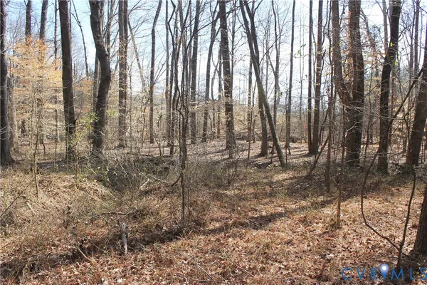 $630,000 | 1119 West Danville Street, South Hill, VA 23970