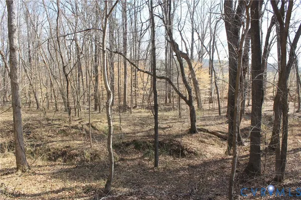 $630,000 | 1119 West Danville Street, South Hill, VA 23970