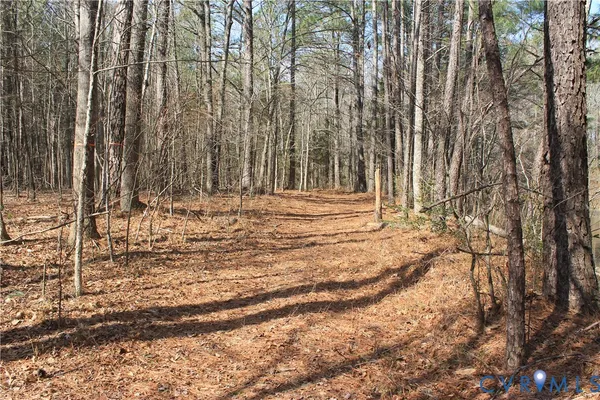 $630,000 | 1119 West Danville Street, South Hill, VA 23970