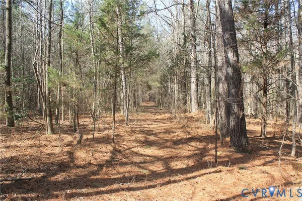 $630,000 | 1119 West Danville Street, South Hill, VA 23970