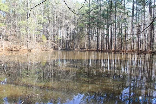 $630,000 | 1119 West Danville Street, South Hill, VA 23970